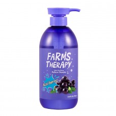 Шампунь «ЯГОДА АСАИ» /  [DAENG GI MEO RI] FARM'S THERAPY Super Acai Berry Defense Shampoo 700ml